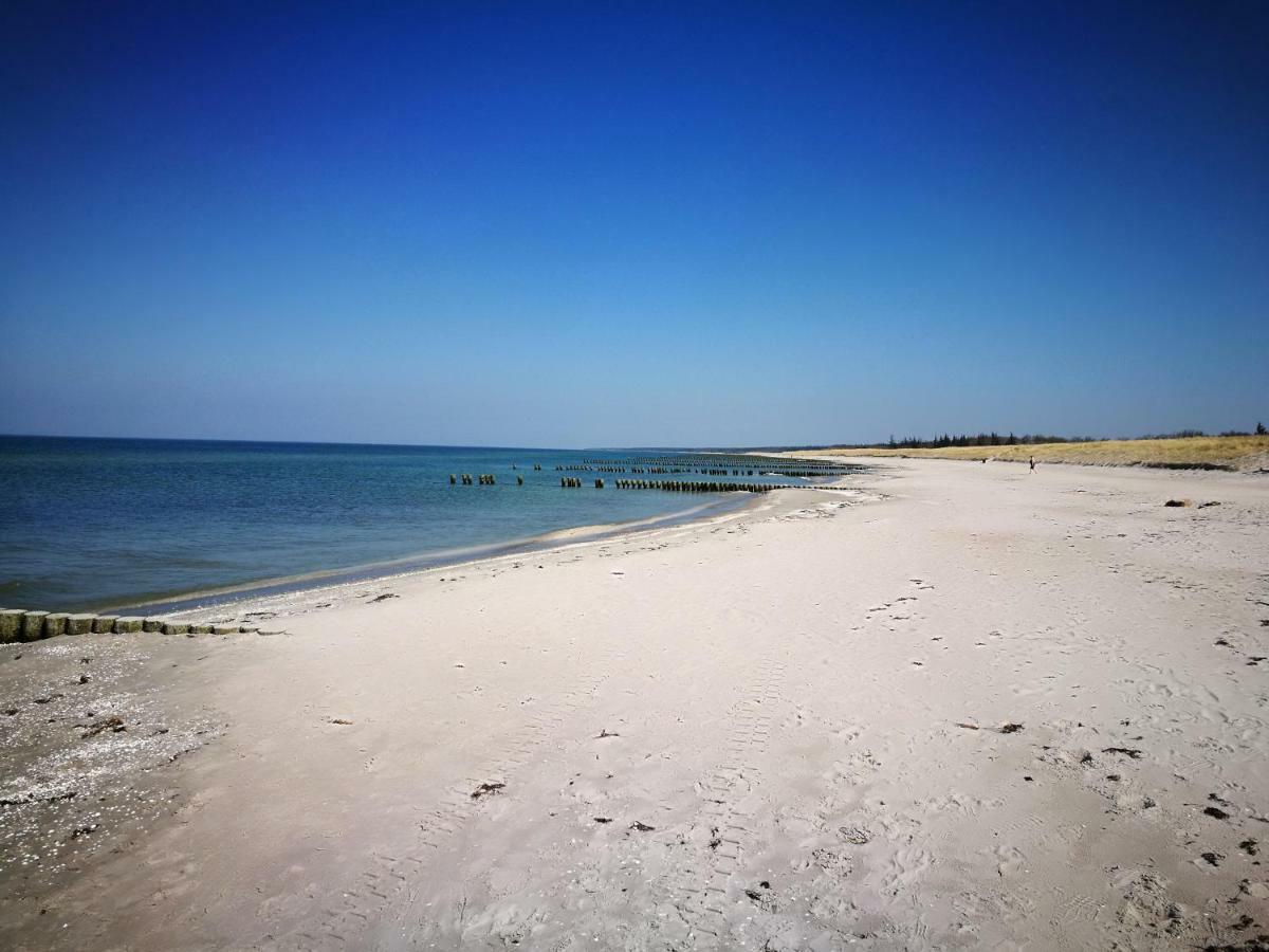 Darsser Strandgut - Haus Ahrenshooper Holz Exteriér fotografie