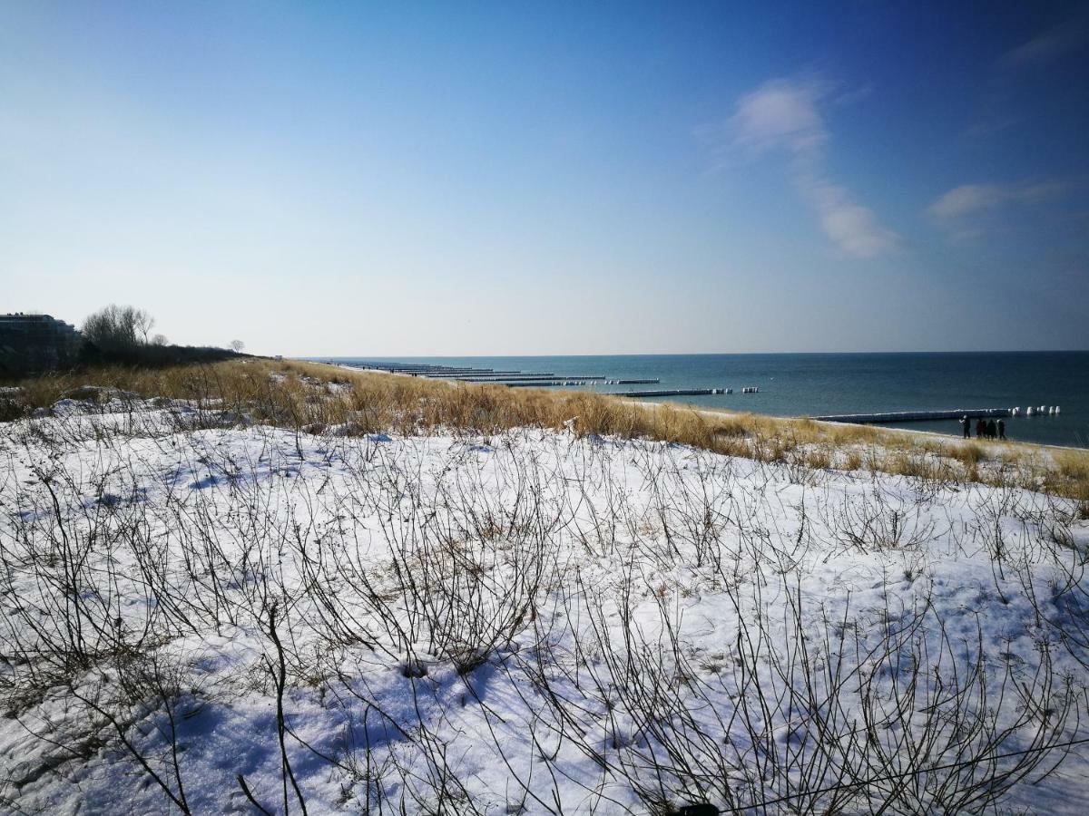 Darsser Strandgut - Haus Ahrenshooper Holz Exteriér fotografie